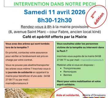 JOURNEE DE SOLIDARITE TEMPETE 2eme page 0001 360x320