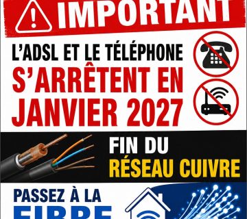 FIBRE FIN DU RESEAU CUIVRE 360x320